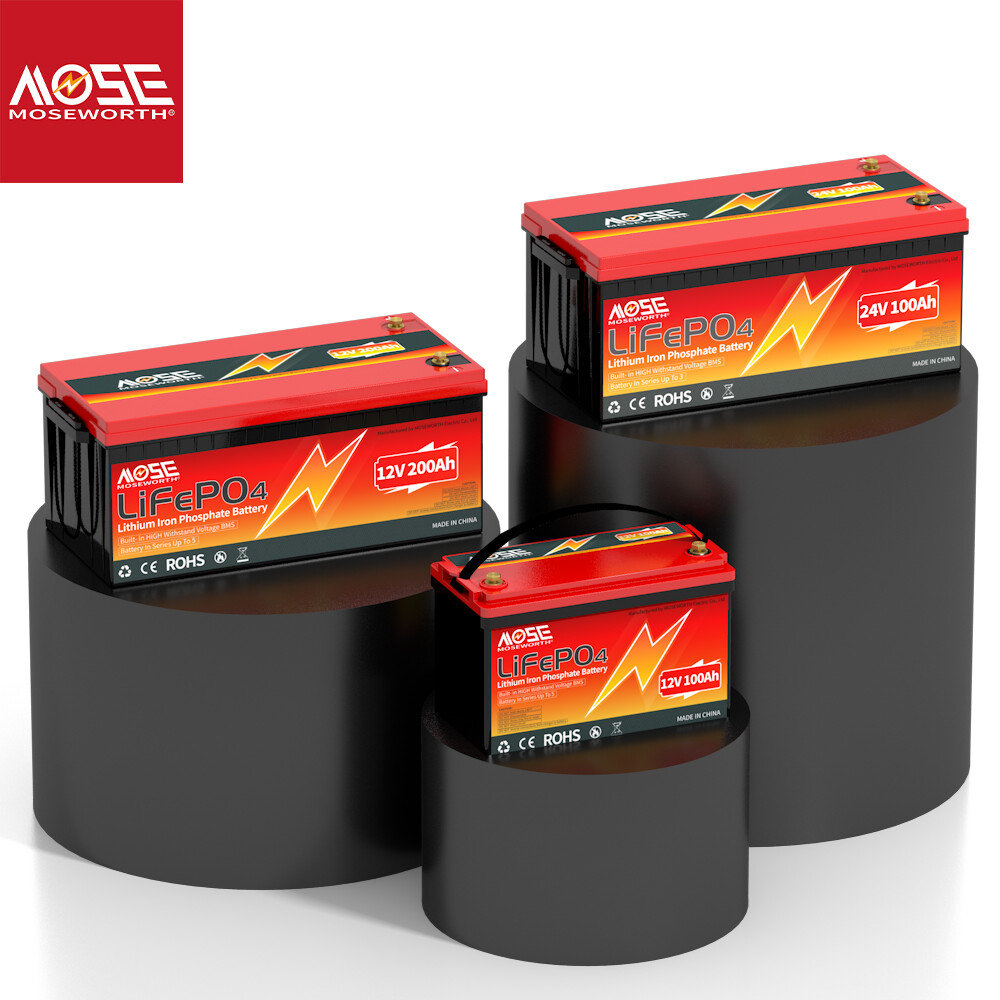 12V 24V 50Ah 100Ah 300Ah LiFePO4 Lithium Battery Deep Cycle for Solar RV Marine