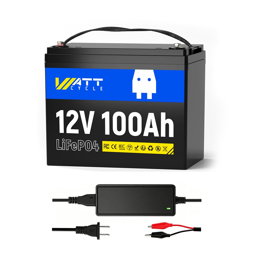 12V 100Ah 100A BMS LiFePO4 Battery With 14.6V 5A Charger Marine Solar Off-Grid